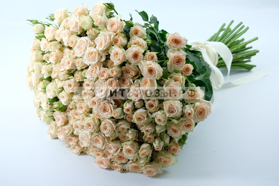 Букет роз 51 Кремовая кустовая роза